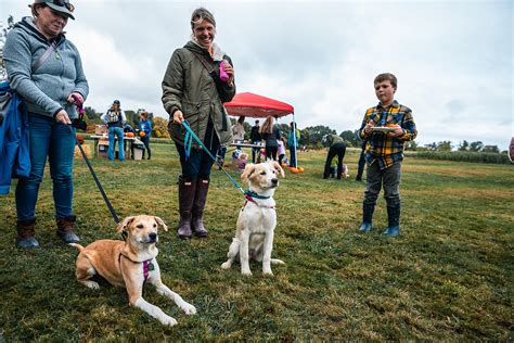 Barktoberfest 2021 — Sweet Paws Rescue