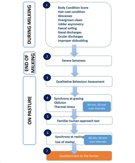 Flowchart Of Data Collection Download Scientific Diagram