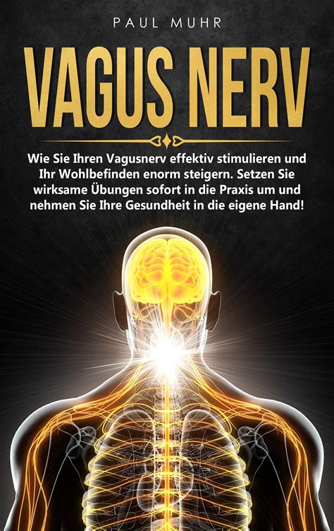 Vagus Nerv Wie Sie Ihren Vagusnerv Effektiv Stimulieren Und Ihr