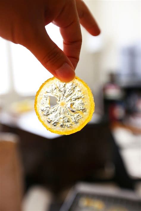 Gourmet Baking Meyer Lemon Tart With Candied Lemon And Peel