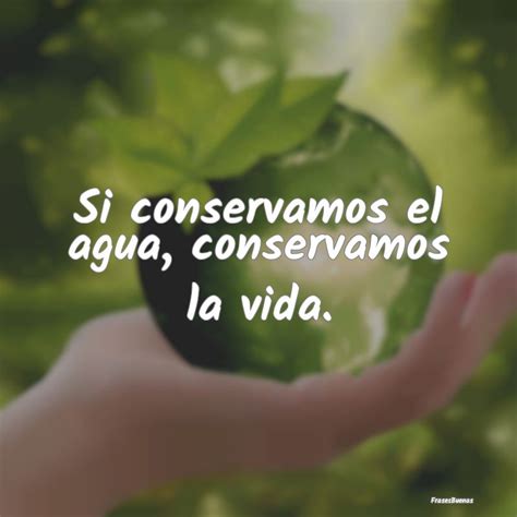 Frases Del Medio Ambiente FrasesBuenas