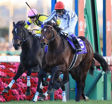 ドウデュースの有馬記念v、レーティング124ポンド 前年イクイノックスは126ポンド スポニチ競馬web