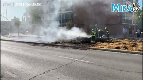 Descubre los encantos de la Avenida Ingeniero Ángel Mayo Jerez en solo