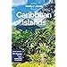 Lonely Planet Caribbean Islands Multi Country Guide Travel Guide