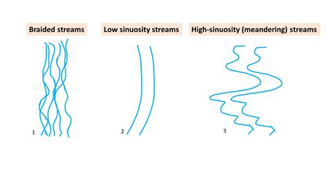 Sketch and describe the difference between braided, low-sinu | Quizlet