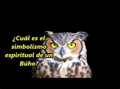 El simbolismo del búho en diferentes culturas y tradiciones Soñar