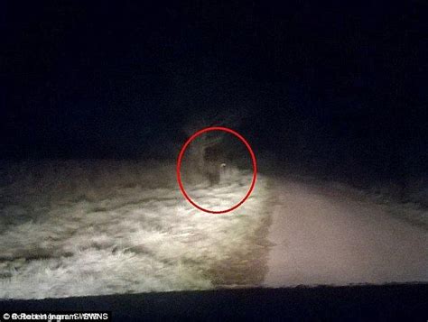 The Werewolf Ofhull Locals Report Sightings Of 8ft Beast With Images