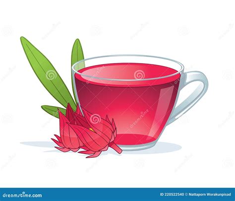 Cup Of Roselle Juice With Blossom And Leaf On White Background Stock