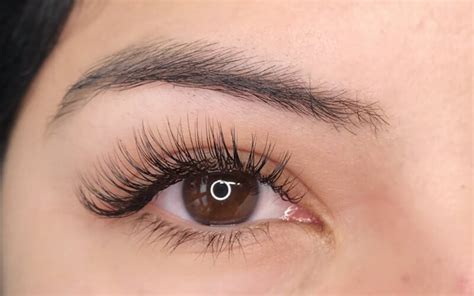 Wispy Lash Extensions 101 Everything You Need To Know