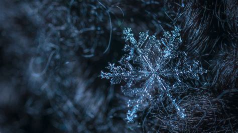 Download Wallpaper 2560x1440 Snowflake macro photography, ice QHD ...