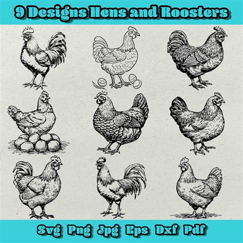 Chicken Hens And Rooster Svg Chicken Svg Rooster Svg Farm Rooster