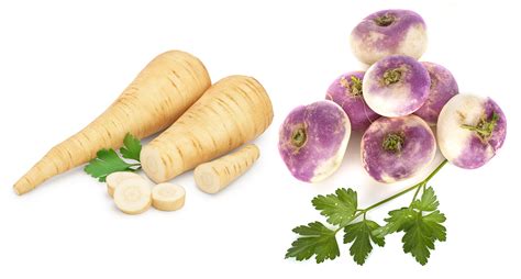 Parsnip vs Turnip: What’s the Difference? - Clean Green Simple