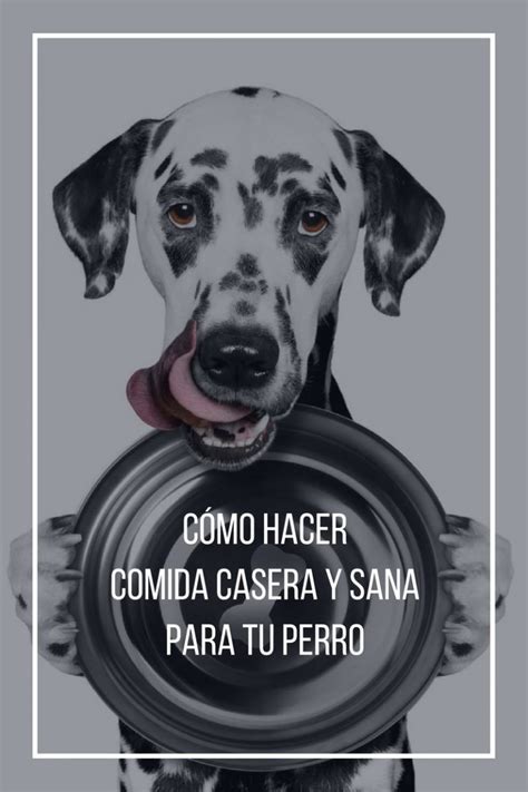 Cómo Hacer Comida Casera Y Sana Para Perros Paso A Paso