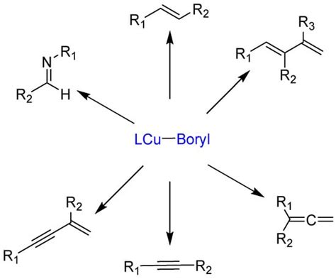 Molecules Free Full Text Updated Progress Of The Copper Catalyzed