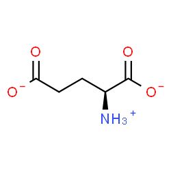 Glutamate Structure