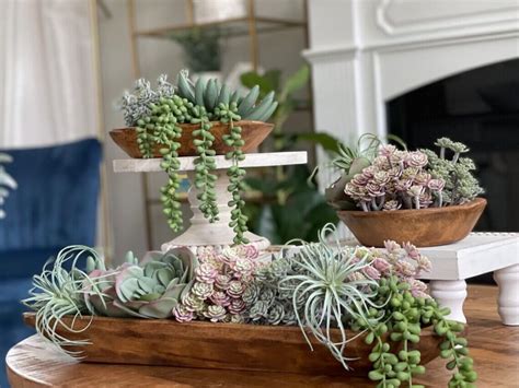 22 Potted Plant Arrangement Ideas