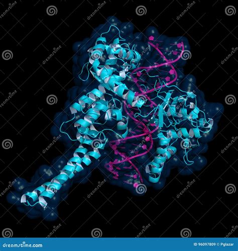 Topoisomerase I Protein Stock Illustration Illustration Of