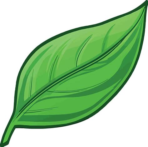 Hoja Verde De Dibujos Animados Vector En Vecteezy