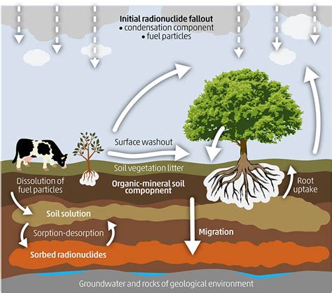 Sources Of Soil Pollution And Major Contaminants In Industrial And