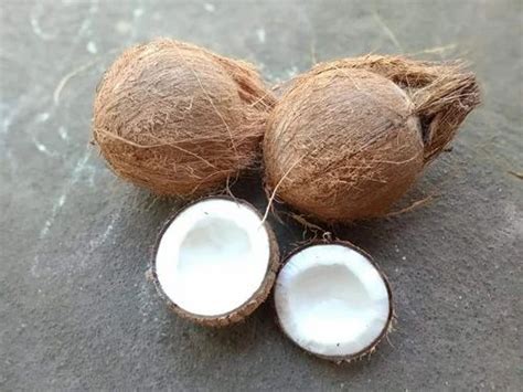 A Grade Pollachi Semi Husked Coconut Packaging Size Kg Coconut