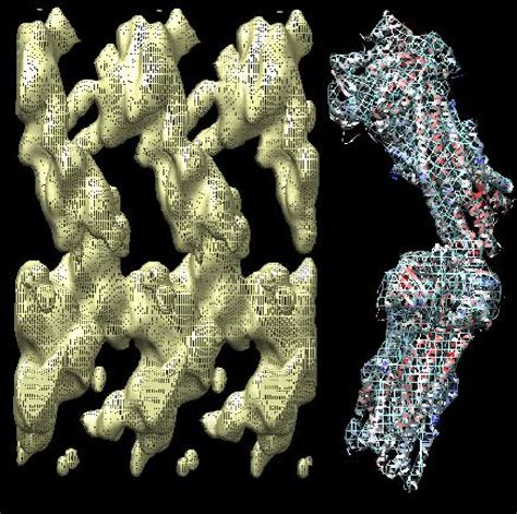 Table From The Cystic Fibrosis Transmembrane Conductance Regulator