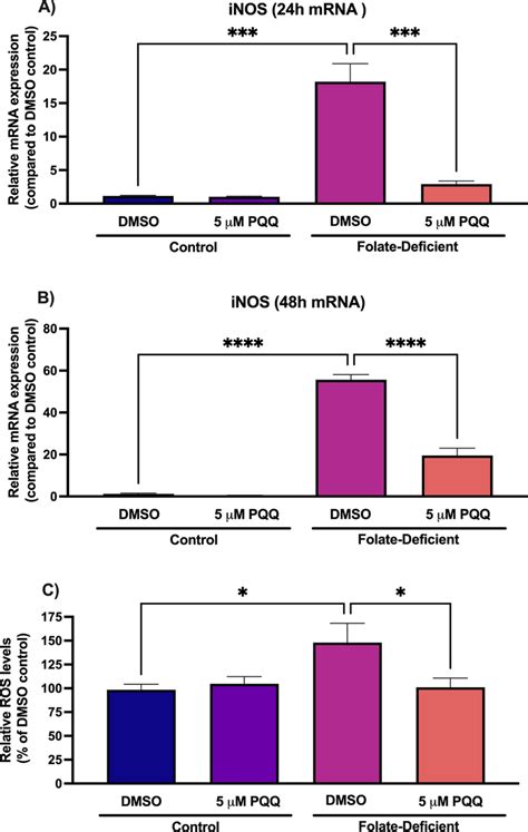 Effect Of Folate Deficiency On Oxidative Stress Markers In Primary