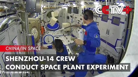 Shenzhou Crew Conduct Space Plant Experiment Youtube