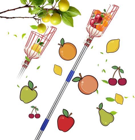 Buy Bird Twig Apple Picker Pole With Basket Extra Long 13ft Adjustable
