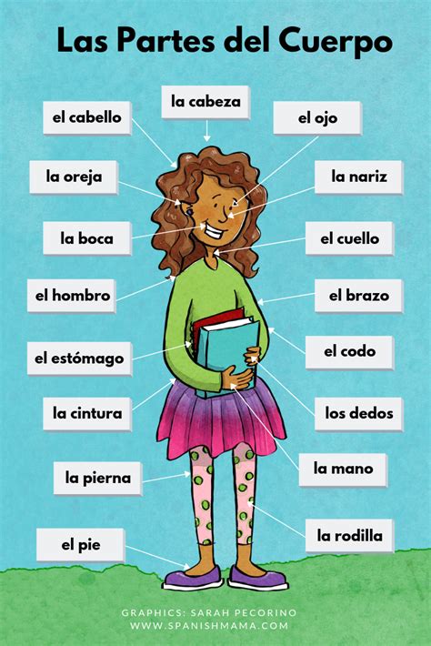 Printable Body Parts In Spanish