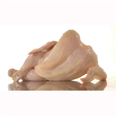 Halal Whole Frozen Chicken Best World Market Price Poultry Products Buy Halal Frozen Whole