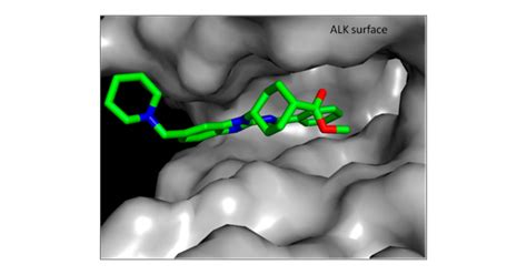 The Discovery And Optimization Of A Novel Class Of Potent Selective