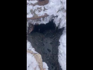 Видео от Администрация Еткульского муниципального района — Видео от ...