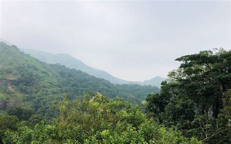 Glass Bridge In Wayanad Experience The Beauty Of Wayanad