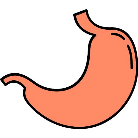 Stomach Vector Svg Icon Png Repo Free Png Icons