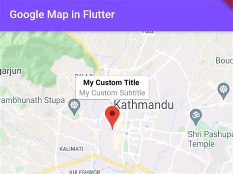 How To Add Google Map In Flutter App