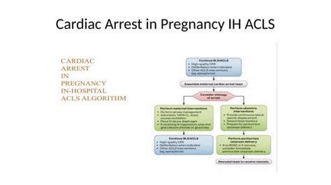 Cardiopulmonary Resuscitation And Pregnancy Ppt