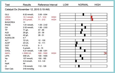 What Is Included In A Chem Blood Test At Charles Vanvalkenburg Blog