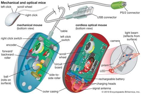 Parts of Mouse