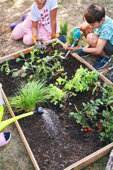 How To Start A Community Garden Getting People Involved Artofit