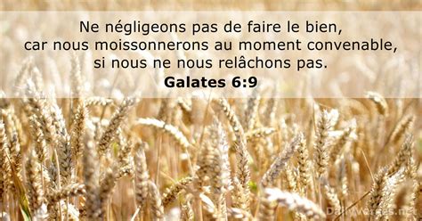 Novembre Verset Biblique Du Jour Galates Dailyverses Net