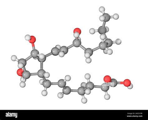 Prostaglandin F A Molecule Computer Model Showing The Structure Of The