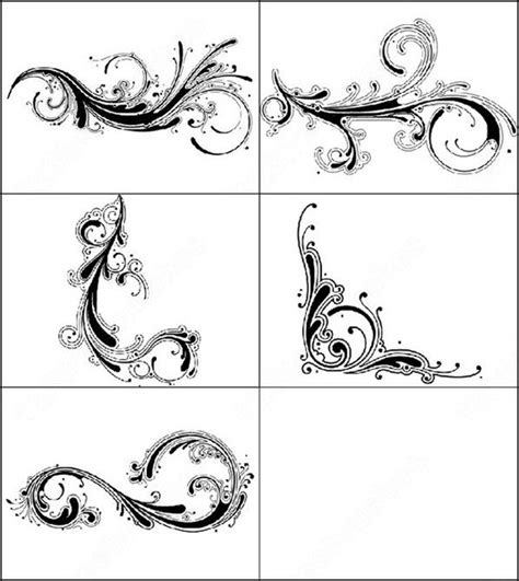 Decorative Swirls Brush Photoshop Brushes In Photoshop Brushes Abr