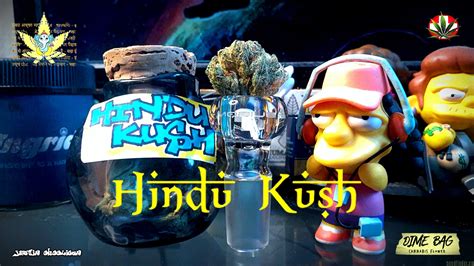 Strain Galerie Hindu Kush Sensi Seeds Pic Von