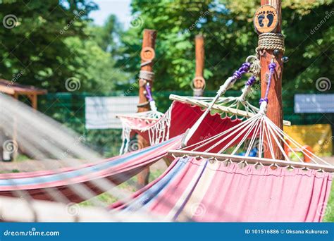 Hammock Hanging In The Green Summer Park Stock Photo Image Of Garden