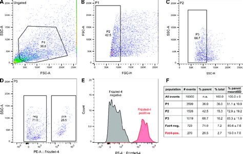 Fluorescence Activated Cell Sorting Facs Sorting Of Fzd4 Marked Cells