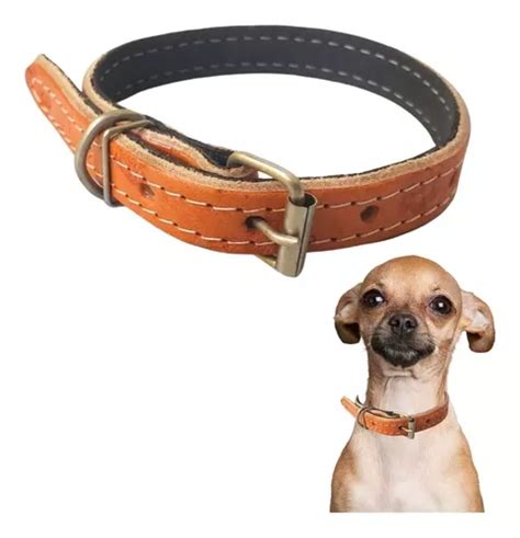 Collar para mascotas Tribus Pet coleira cachorros pequenos couro básico