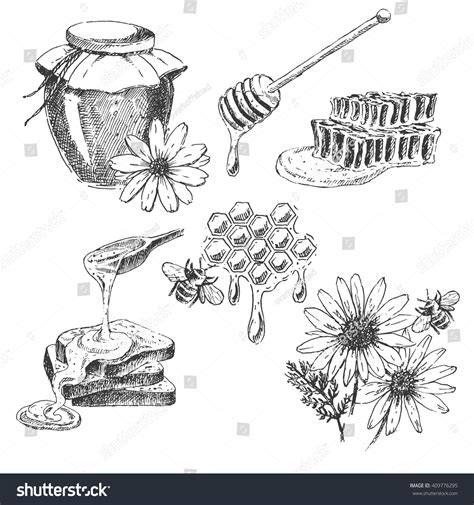 Vector Honey Elements Set Hand Drawn Stock Vector Royalty Free