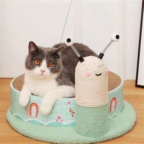 Katzenkratzbrett Schnecke Modell Mit Maus Spielzeuge Und Katze