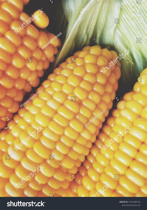 Indonesian Traditional Breakfast Menu Boiled Corn Stock Photo