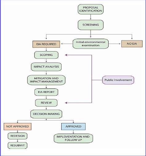 Generalized Environmental Impact Assessment Process Flow Char